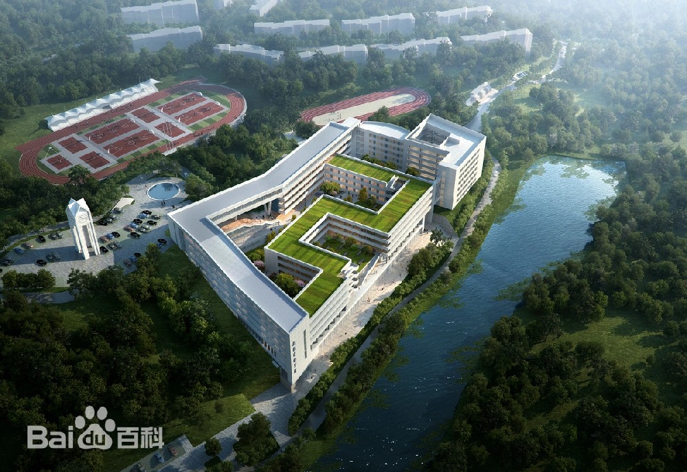 甲醛治理 讲解，除甲醛指南之有效方法？