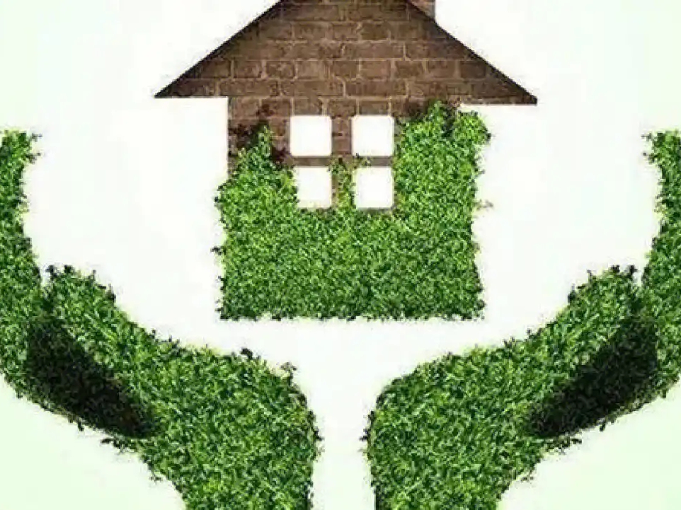 除甲醛公司的智商税陷阱：如何避免被误导？