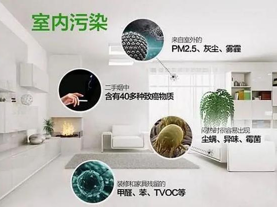 除甲醛公司：入住前的安全保障与科学依据