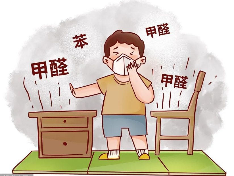 除甲醛公司从装修材料到家居用品的全面分析