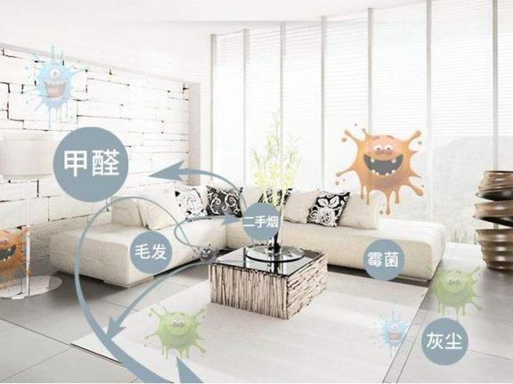 除甲醛公司新房装修完甲醛怎么除？科学方法与实用技巧大揭秘