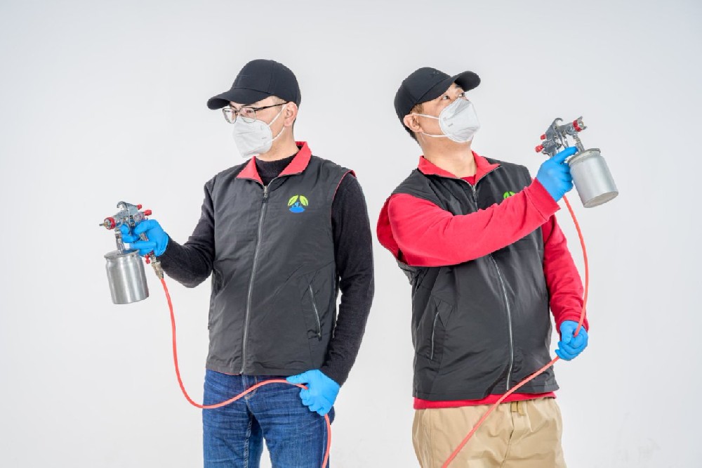 新房除甲醛，这5种方法效果翻倍，快收藏！